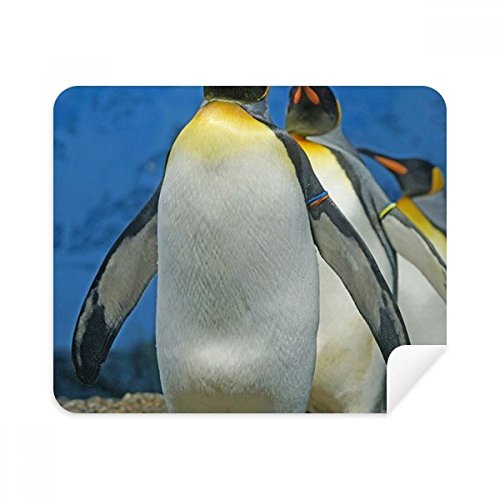 L'essentiel pour votre écran : chiffon de nettoyage en suède manchots de l'Antarctique
