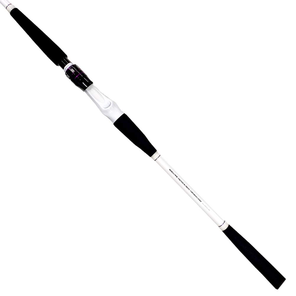 ゴクスペ　サモトラケ　ナノテックLT 190H 82調子 Amazon | ゴクスペ(Gokuspe) Gokuevolution NanoTech LT 190H 82