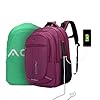 Mochila Masculina Feminina Reforçada Executiva + Capa de chuva Grande Mochila para Notebook Trabalho Viagem Escola com Cabo de Aço Impermeável Antifurto com Saídas USB/Fone de Ouvido Laptop (Vinho)