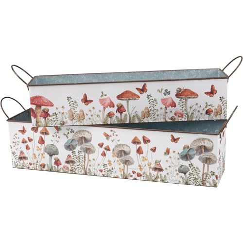 Primitives-by-Kathy-Bin-Set-Mushroom-Study Primitives by Kathy Bin Set Mushroom Study