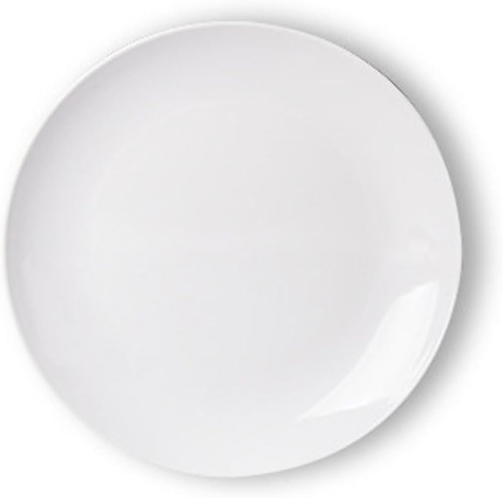 Melamine Dinner Plates,Reusable Dinnerware Dishes for Outdoor and Indoor,Dishwashe Safe,Set of 2 (10 Inches)