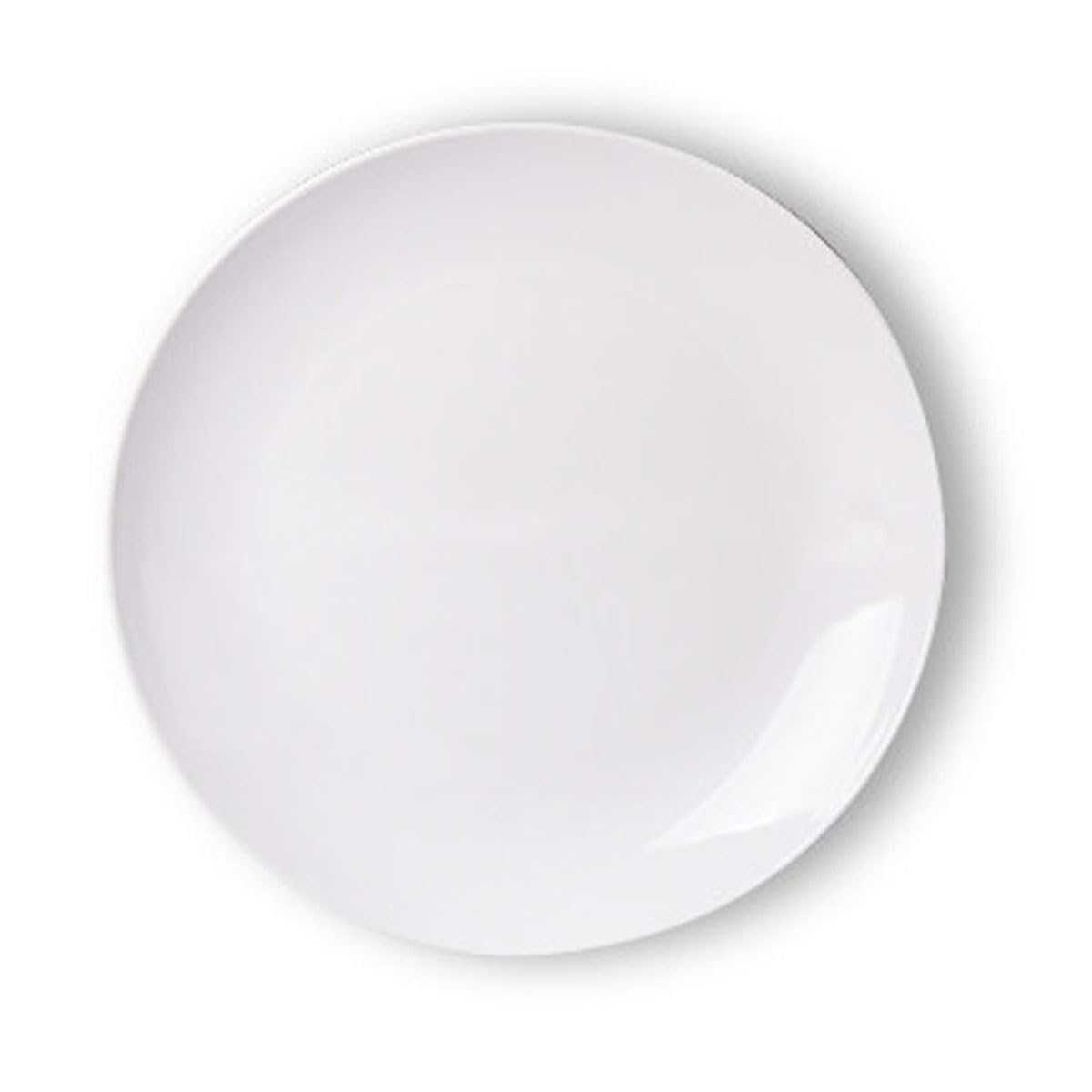 Melamine Dinner Plates,Reusable Dinnerware Dishes for Outdoor and Indoor,Dishwashe Safe,Set of 2,White (11 Inches)