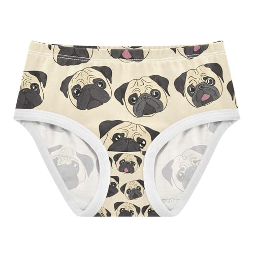 Cute Colorful Pugs Dog Toddler Girls's Underwear 2T 202c1267