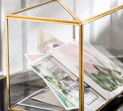 Vellon Golden Glass Box, Clear Gift Card Box For Reception, Large Plant Glass Terrarium For Foliage Succulent And Bonsai, Indoor Planter (Golden) #TOP5