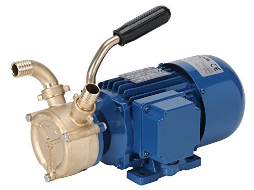 Pompa In Bronzo 24V.