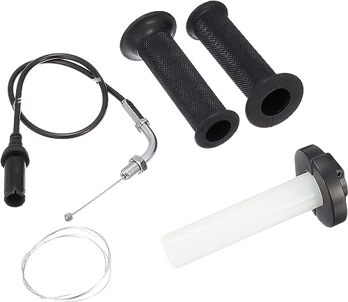 たっか出品 秘藏 清代 チベットの老天珠 高油老料 【銀糸碧璽を