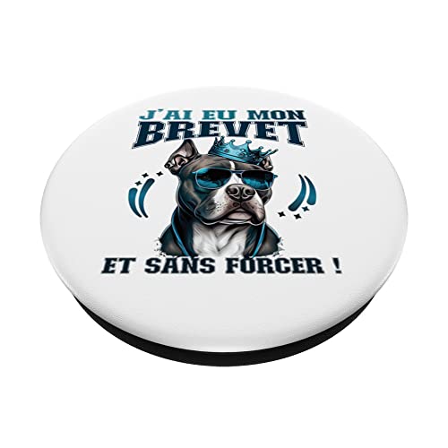 Brevet des Collèges BDC Réussite Pit Bull entrée lycée PopSockets PopGrip Interchangeable – vue 2