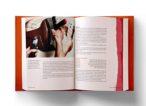 Casa Cacao: The Return Trip to the Origin of Chocolate