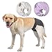 BePetMia Waschbare Windeln für Hunde, Wiederverwendbare Hundewindeln, Umweltfreundliche Damenbinden Höschen, Hygiene-Unterhose für Hunde in Hitze (L: 48-65cm, Schwarz)