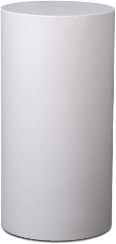 WaNana 3D Gypsum Geometry Sketch Basic Form Learning Tools-2inch Mini Resin Geometry Mold Sketch Classic Sculpture for Home Decor and Drawing Practice Fashion 10PCS