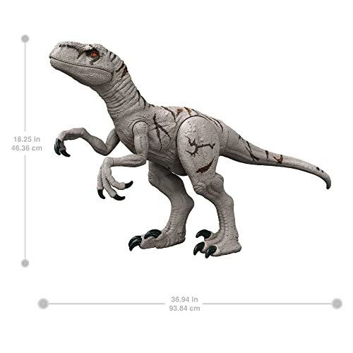 Jurassic World Dinossauro de brinquedo Atrociraptor Colossal, HFR09, Multicor
