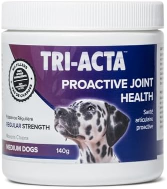 Integricare Muscle and Joint Supplement for Pets – Hip and Joint Supplement with Msm Powder, Chondroitin – Glucosamine for Dogs and Cats, for Ultimate Pet Nutrition – 140g