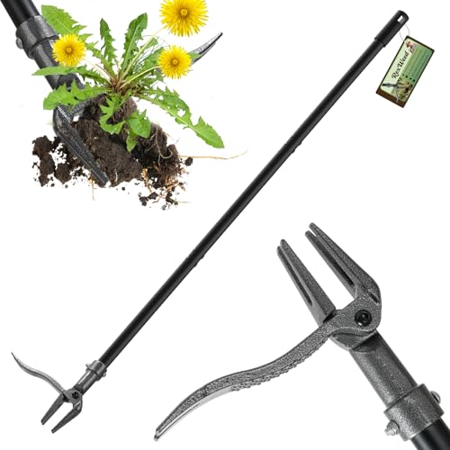 RexWeed 46" Weeder, Steel 4-Claw Head, Adjustable Handle