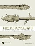  Form Follows Flower: Moritz Meurer, Karl Blossfeldt & Co.