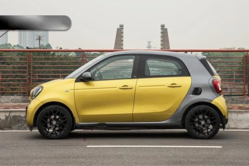 Bavettes Garde-boue Smart 451 Evite les Rayures et Impacts Boue - 6