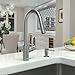 hansgrohe Focus Stainless Steel High Arc Kitchen Faucet, Kitchen Faucets with Pull Down Sprayer, Faucet for Kitchen Sink, Magnetic Docking Spray Head, Stainless Steel Optic 04505800, 1.75