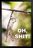Oh Sht! Cat Funny Hang in There Cat Poster Funny Wall Posters Kitten Posters for Wall Motivational Cat Poster Funny Cat Poster Inspirational Cat Poster Picture Modern Wood Frame Display 9x13