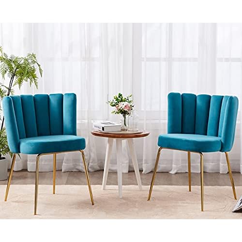 Velvet Barrel Dining Chairs Set of 2 Modern Accent Chairs Upholstered Host Side Chairs with Gold Metal Legs for Home Kitchen Living Room, Rose