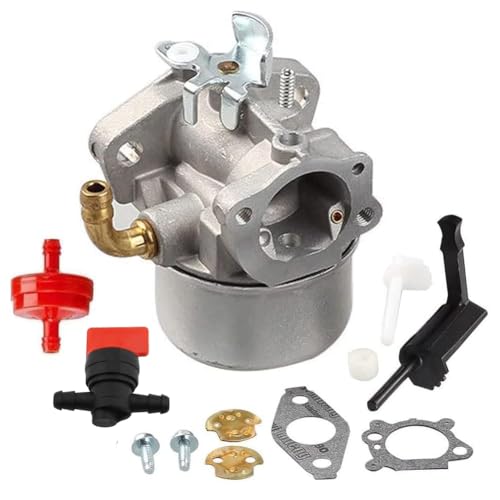 798653 Carburetor Compatible With Briggs & Stratton 697354 790290 791077 698860 Carb kit intek 206 5hp 5.5hp 6hp 6.5hp Engine carb