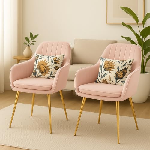 Image of Velvet Chair with Floral Pillow for Home | Modern Accent Armchair in Soft Velvet Fabric with Golden Legs | Set of 2 Premium Accent Chair for Living Room Bedroom Restaurent | (Baby Pink)