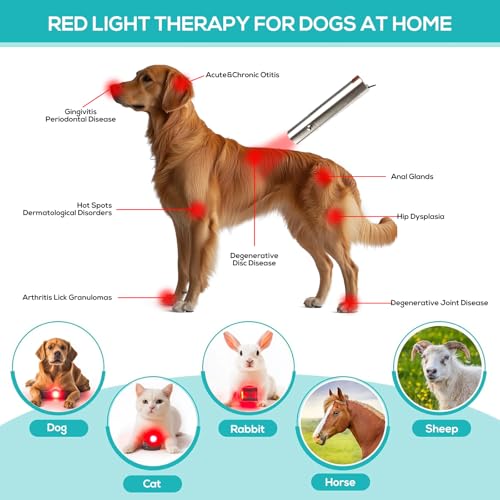 Image of Vicmama Red Light Therapy for Dogs - Red Light Therapy Devices, Infrared Healing Light Therapy for Dogs, Cats Muscle & Joint Pain Relief, Near Infrared Light Therapy for Dogs Body Reduce Inflammation