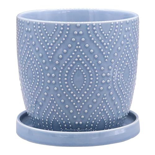 �f���L (dellki) �h�[�Z�|�b�g B Doce �u���[ L�T�C�Y ��155×H145mm FD08BL