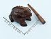 Frog guiro inches wood block musical instrument Percussion Musical Instrument Perfect size Natural Wood Güiro Frog. (3.0 inches-8.0 cm.)