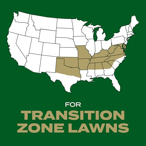 image for Scotts Turf Builder Rapid Grass Southern Gold Blend for Tall Fescue La