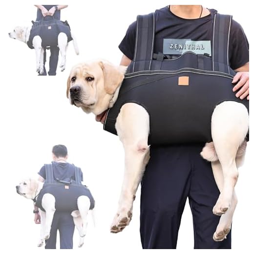 Dog Lift Harness Backpack for Large Dogs