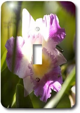3dRose Orchid is a Colorful garden flower single toggle switch image 4