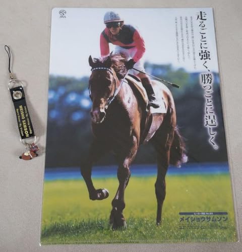 JRA CVET\ Xgbv ×NAt@C