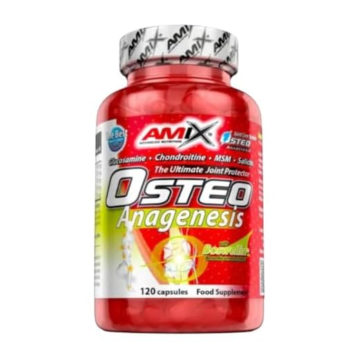 AMIX - Complemento Alimenticio - Osteo Anagenesis en Formato de 120 Cápsulas - Alto Contenido en Glucosamina y Condroitina - Ayuda a Proteger tus Articulaciones