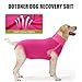 Dotoner Dog Surgery Recovery Suit Dog Suit for Male Female Neuter Anti-Lick Abdominal Wounds Bite Protective Outfit Alternative E-Collar & Cone Breathable Spay Suit for Medium Large Dogs