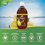 Nature's Way NutraSea Huile de Poisson Oméga 3 Liquide – Saveur Citron Zesty, Non-OGM – Soutien Cardiaque & Cérébral – EPA & DHA, 500 mL