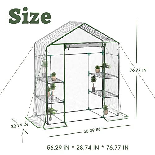 BLUU Greenhouse, Portable Green House Indoor and Outdoor, Mini