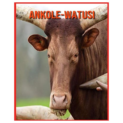 Ankole-Watusi: Fatti super divertenti e immagini incredibili
