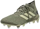 adidas Herren Predator 19.1 Sg Fussballschuh, Legacy Green/Sand/Solar Yellow, 42 EU