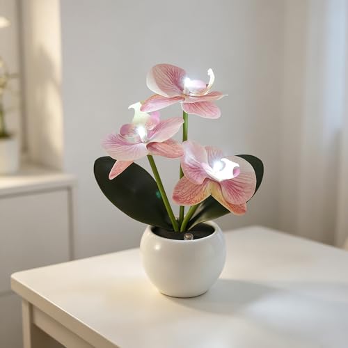 Image of Light Pink Artificial Orchid Lamp, Cordless Rechargeable LED Orchid Night Light, Valentine's Mothers Day Wedding Birthday Gift for Mom Wife Friends, Floral Light for Bedroom Indoor Home Decor