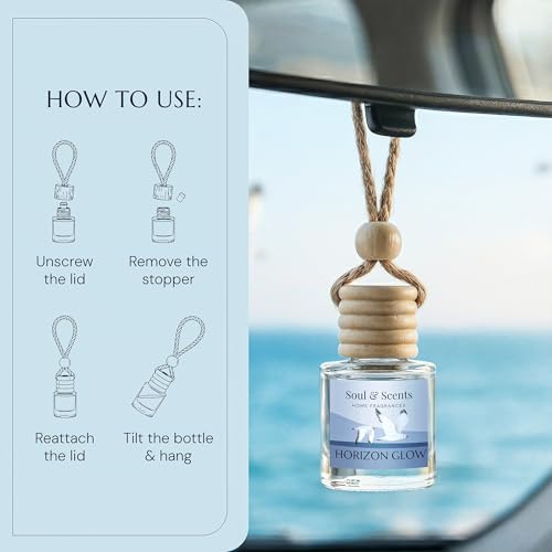 Image of Soul & Scents 16ml Luxury Car Perfumes Jasmine | Horizon Glow | 2-in-1 Hanging Pod & AC Vent Air Freshener | Premium Wooden Car Fragrance Accessory | Long Lasting Odour Eliminator | Pack of 2