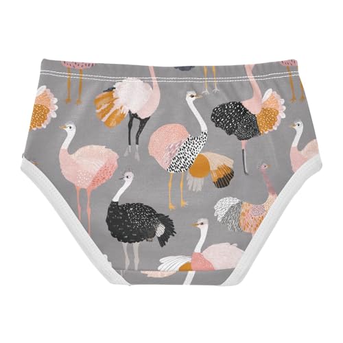 Wusikd Cartoon Geese Girls' Underwear Cotton Girls Briefs Soft Toddler Underwear 2T2