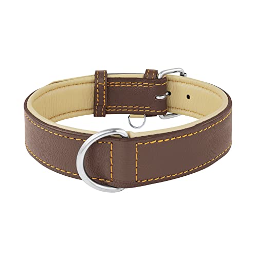 Riparo Echtes Leder Verstellbares Hundehalsband mit Zusätzlicher Verstärkung (L: 3,8CM Breit für 43,2CM - 53,3CM Hals, Braun)