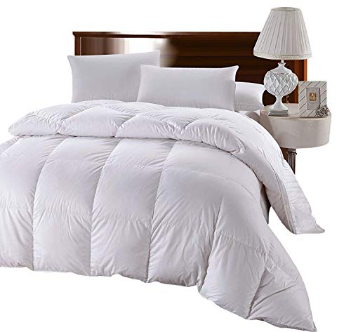 Warm Hungarian Goose Down Comforter (Full/Queen 90x90) 46-Ounces of Fill, 500TC-Pure Cotton Shell, Solid Pattern, Luxury Goose Down Duvet Insert