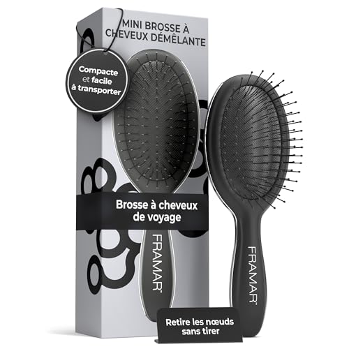 FRAMAR Mini Brosse Cheveux - Petite Brosse a Cheveux, Brosse Cheveux Voyage, Brosse Voyage, Compact Pour Les Voyages, Voyage Accessoires, Anti-casse - Noir Mat