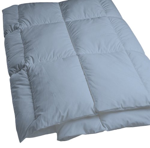 Mission Allergy Dust Mite-Proof Comforter Twin Blue/Gray