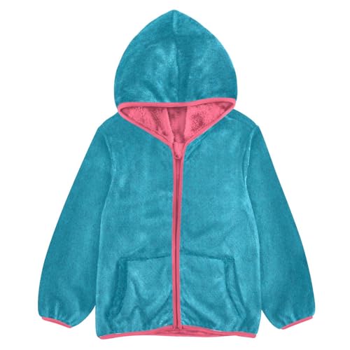 GuoChe Blue Texture Sherpa Jacket
