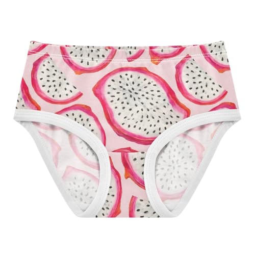 Joisal Watercolor Dragon Fruit Slices Pink Girl Panties Cute Toddler Underwear Floral Cotton Bright Kids Briefs Undies 2t