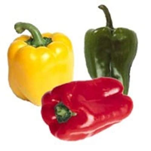 POIVRONS TRICOLORES - Le sachet de 500 gr