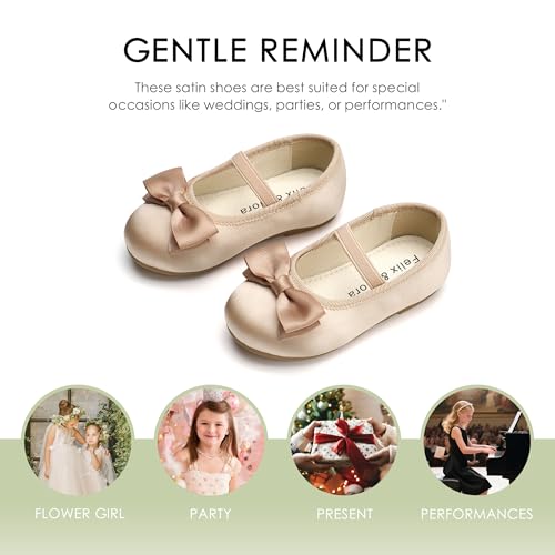 Image of Felix & Flora Toddler Flower Girl Dress Shoes - Girl Ballet Flats Party School Shoes Wedding