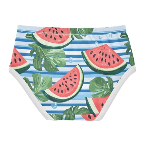 Wusikd Watermelon Girls' Underwear Cotton Leaves Girls Briefs Soft Toddler Underwear 2T2