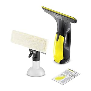 Kärcher WV Black Edition Window Vac